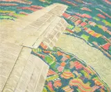 Yvonne Jacquette, Untitled, Etching