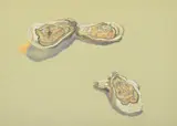 Jack Beal, Still Life, Pastel Drawing