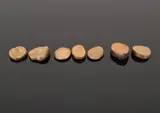Georg Herold, 'Potatoes', Bronze Sculpture