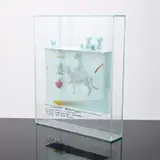 Dana Zámečníková, 3D, Mixed Media Painting