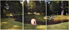 David Hilliard, Untitled, Print Swimmers Triptych