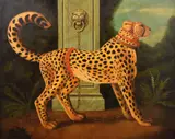 William Skilling, Cheetah, Painting