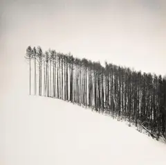 Michael Kenna, Untitled, Print
