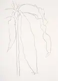 Untitled by Ellsworth Kelly, Lithograph, sold Nov 2019