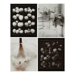 Olivia Parker, Selected Images ('Mixed Nuts', 'Moon Snails', 'Orchid', 'Cut Orchids'), 1975-80, Four selenium-toned silver chloride prints