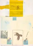 Robert Rauschenberg, Why You Can'T Tell 1, Screenprint