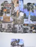 Robert Rauschenberg, Catfish Tails, Lithograph