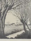 C. R. W. Nevinson, Untitled, Christopher Richard Wynne Nevinson (1889-1946) 'THE WILLOWS' Drypoint etching