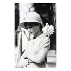 Audrey Hepburn with Dove, St. Tropez by Terry O'Neill, 1966, Gelatin silver print, offered Feb 2025