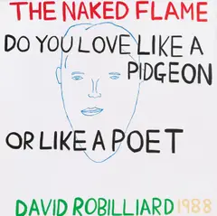 David Robilliard, THE NAKED FLAME. DO YOU LOVE LIKE A PIDGEON OR LIKE A POET, 1988, Acryl auf Leinwand