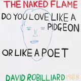 David Robilliard, THE NAKED FLAME. DO YOU LOVE LIKE A PIDGEON OR LIKE A POET, 1988, Acryl auf Leinwand