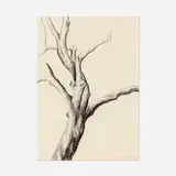 Charles Sheeler, Tree Trunk