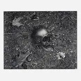 Vik Muniz, Vanitas (from the Pictures of Soil series), 1999, bromoil gelatin silver print