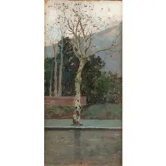 Michele Catti, Palermo, 1855 ; 1914 / Platano in via della Libertà / Firmato M Catti in basso a destra, oil on panel
