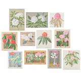 A group of eleven watercolours of rhododendrons comprising by Rt. Hon. Sir Herbert Maxwell, 7th Bt. of Monreith, Kt, Pc, Jp, Dl, Frs, watercolour, sold Jul 2026