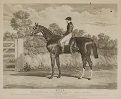 Various Artists, A Group of 5 Sporting Prints,, Charles Hunt (1803-1877) after John Frederick Herring, Sr. (1795-1865), Elis, aquatint