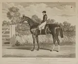 Various Artists, A Group of 5 Sporting Prints,, Charles Hunt (1803-1877) after John Frederick Herring, Sr. (1795-1865), Elis, aquatint