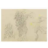 Study of trees by Sir Edward Coley Burne-Jones, Bt., Ara, Rws, pencil and watercolour, sold Sep 2026