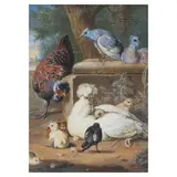 Melchior de Hondecoeter, Chickens and pigeons before a landscape, water and body colour with gum arabic on paper