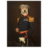 Thierry Poncelet, Major Benji, oil on canvas