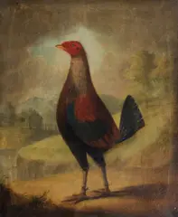 English School, A fighting cock, oil on canvas