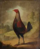 English School, A fighting cock, oil on canvas