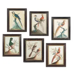 together with a further part set of three 'basso relievo' pictures of exotic birds after the designs of George Edwards and also in the manner of Samuel Dixon Samuel Dixon: A part set of three good 'basso relievo' pictures of exotic birds, The first three circa 1749-50, the others, third quarter 18th century
