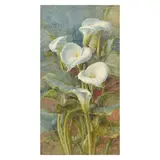 Fanny Jane Bayfield, Arnum Lilies, watercolour and pencil