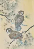 Robin Hill, Boobook Owls, watercolour and gouache