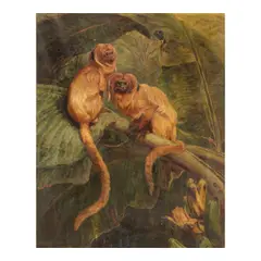 Samuel Edmund Waller, A pair of golden lion tamarin monkeys on a branch, oil on canvas