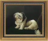 Rupert Arthur Dent, A Tibetan Terrier, oil on canvas