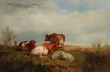 James Walsham Baldock, Cattle and sheep on the downs, oil on canvas