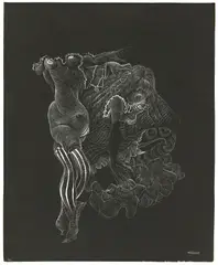 Hans Bellmer, Ohne Titel, Um 1936, Pinsel in weißer Gouache auf schwarzem Karton