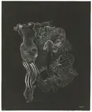 Hans Bellmer, Ohne Titel