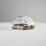 Paul Schulze for Steuben, Turtle