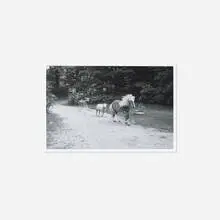 New Hampshire by Helen Levitt, 1985, silver-gelatin print, sold Jan 2016