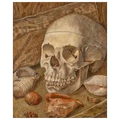 Helen A. Prothers, A still life of a skull amongst shells, oil on board
