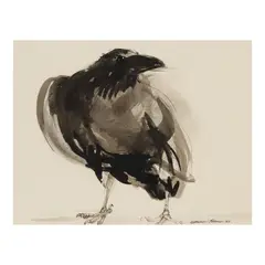 Michael O'Mara, Crow, pen and ink on paper
