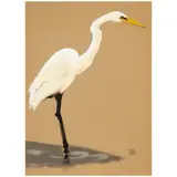 Michaele Vollbracht, Egret, mixed media on paper
