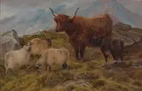 Rca Charles Jones, British sheep and Highland cattle (a group of two), both oil on panel