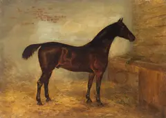 English School, Portrait of a black horse in a stable, oil on canvas