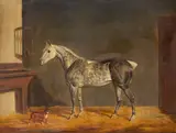 James Loder, Molly Gray and Mustard, a favourite terrier, in a stable interior, oil on canvas