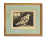 Józef Hecht, Seagull, Engraving, 1949, on wove paper