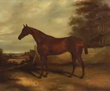 James Clark, Jack Frost by Lord Clifton, in a landscape, oil on canvas