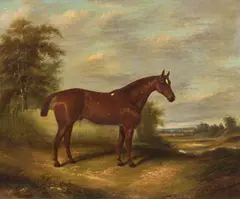 James Clark, Chestnut hunter in a landscape, oil on canvas
