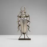 Oleg Konstantinov, Articulated beetle