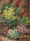 Oliver Clare, Still life of primroses, oil on board