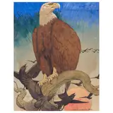 Bald Eagle by Charles Livingston Bull, gouache, ink and watercolor on laid paper, sold Mar 2025