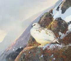 Rock Ptarmigan by Michael Coleman, oil on masonite, sold Mar 2025