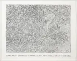 Jasper Johns, Leo Castelli Exhibition Poster, 1976, Offset lithograph on paper